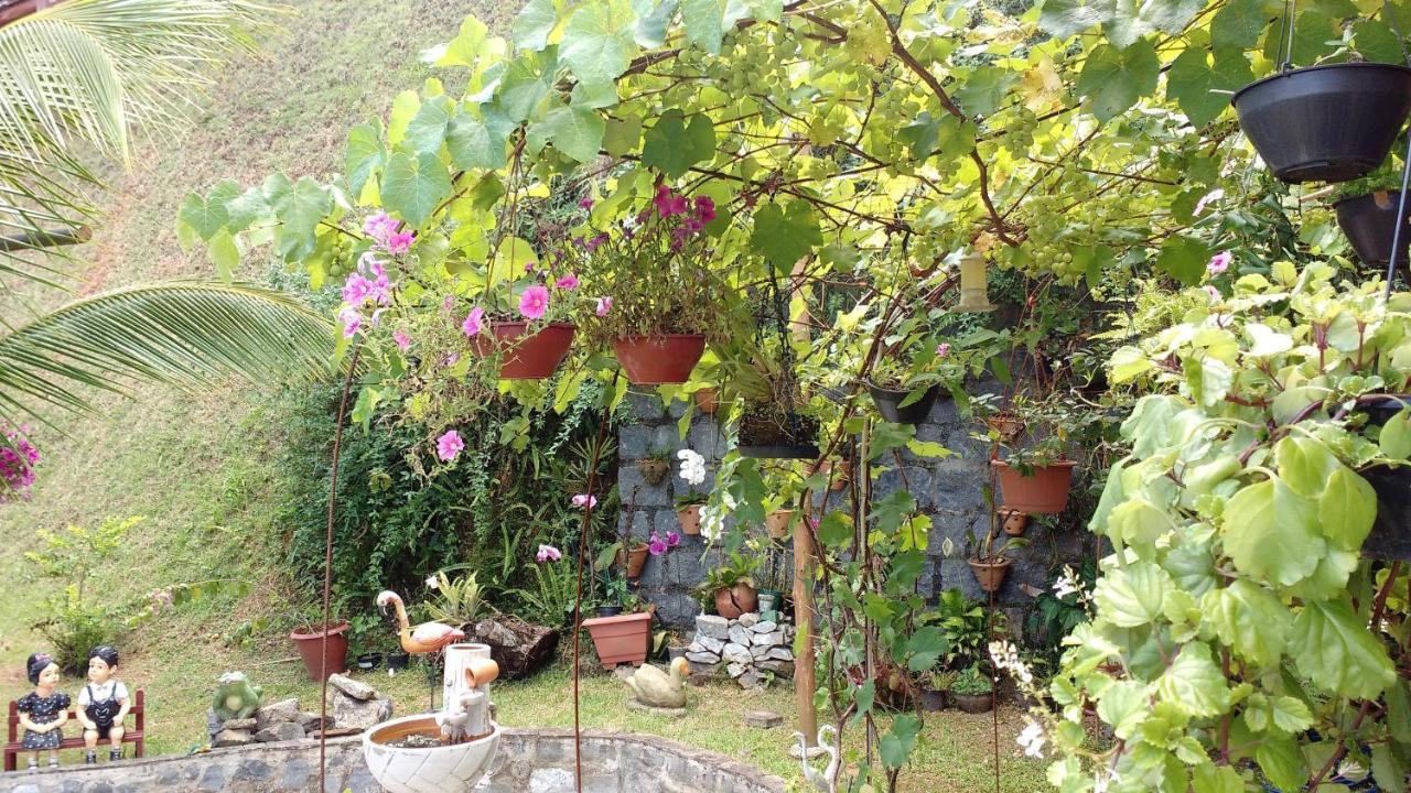 Pousada Stohler Haus Penedo  Zewnętrze zdjęcie